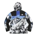 Supreme® x The North Face® 聯名款 雪山衝鋒外套 男女同款